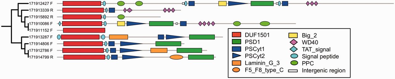 example graphic