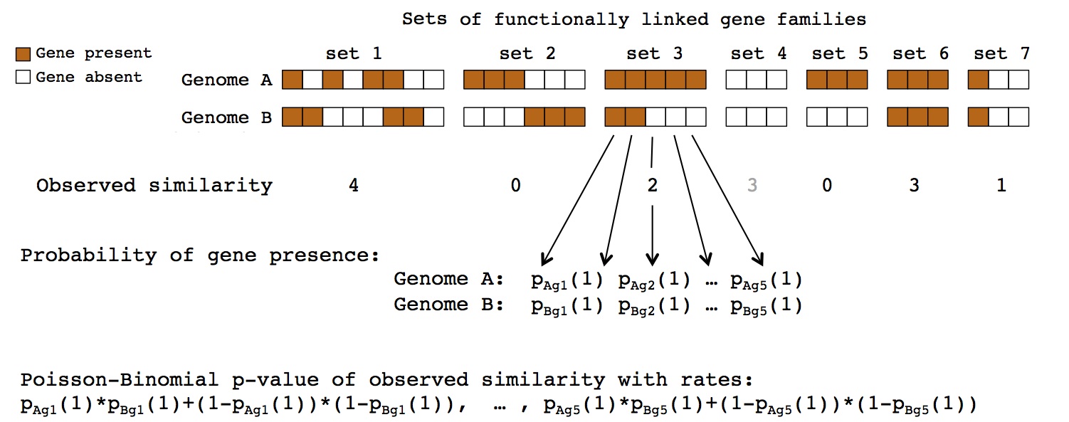 example graphic