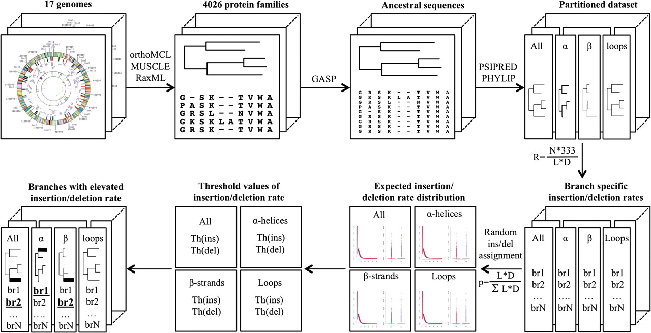 example graphic